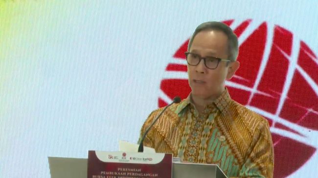 illini berita Bos OJK Ungkap Pasar Modal Penting Untuk Ekonomi Nasional