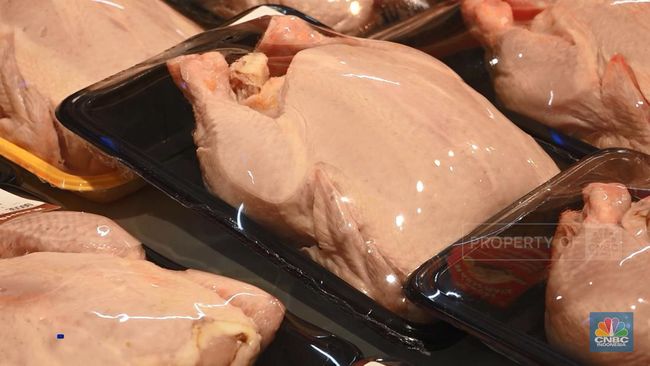 illini berita Jangan Mencuci Ayam Mentah Sebelum Dimasak, Ini Alasannya