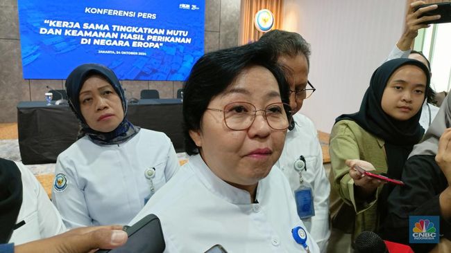 illini berita Nelayan Siap-Siap, KKP Bakal Pelototi Ikan Makan Bergizi Gratis