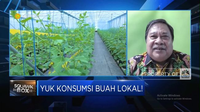 berita aktual Video: Aturan Jadi “Biang Kerok” Buah Indonesia Kalah Dari Malaysia Cs