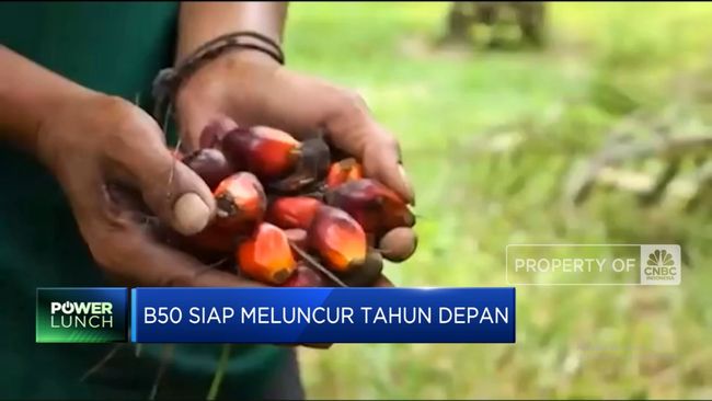 illini berita Video: B50 Impian “Prabowo” Siap Meluncur Tahun Depan