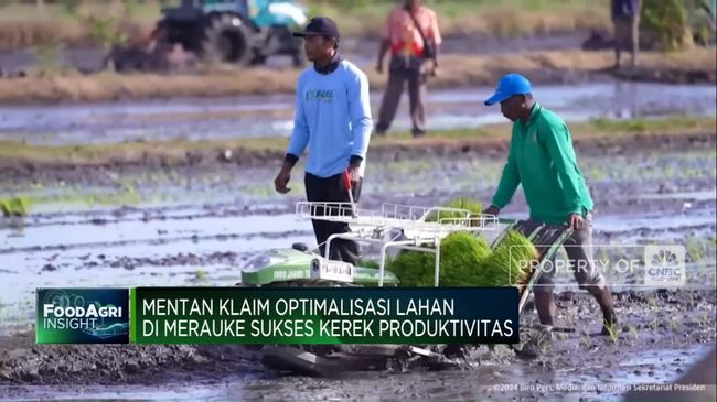 illini berita Video: Mentan Klaim Optimalisasi Lahan di Merauke Kerek Produksi Beras