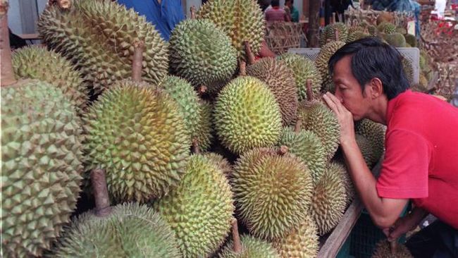 illini berita 6 Khasiat Kesehatan dari Durian, Asal Tak Dimakan Bareng Ini