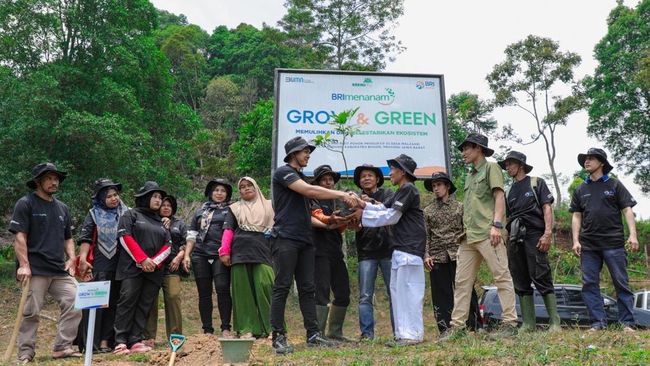 berita aktual Kelompok Tani di Bogor Sukses Pulihkan Hutan Bekas Tambang