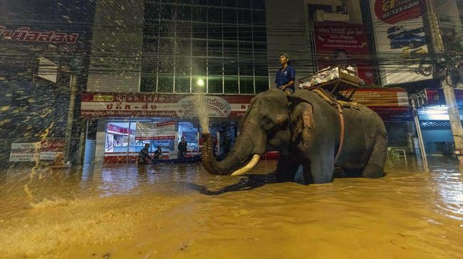 illini berita Tetangga RI Digulung Banjir Bandang, Kota ‘Tenggelam’-Dua Gajah Mati